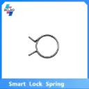 smart lock spring