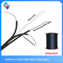 2core fiber 1M