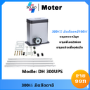 DH300UPS